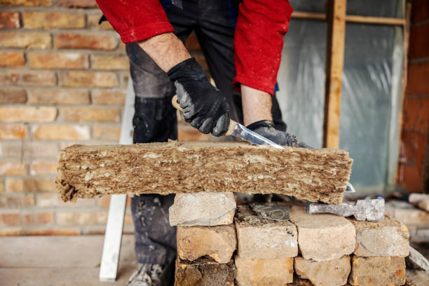 Best Home Insulation Services  in Lovington, NM