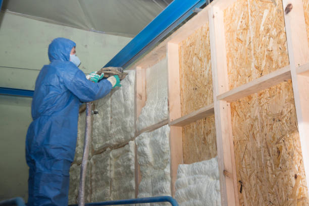 Best Attic Insulation Installation  in Lovington, NM